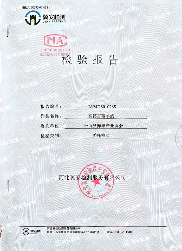 检测报告